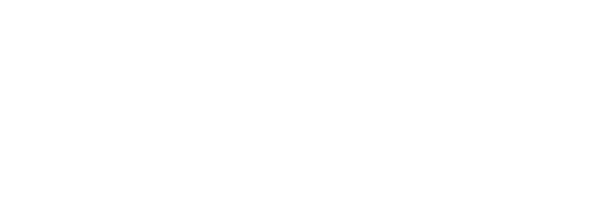 Logo White